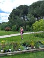209 foto MVervoorn IMG_20190613_122212253_HDR